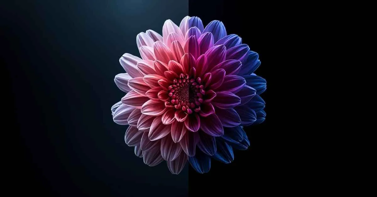 Metaphor for Flowers