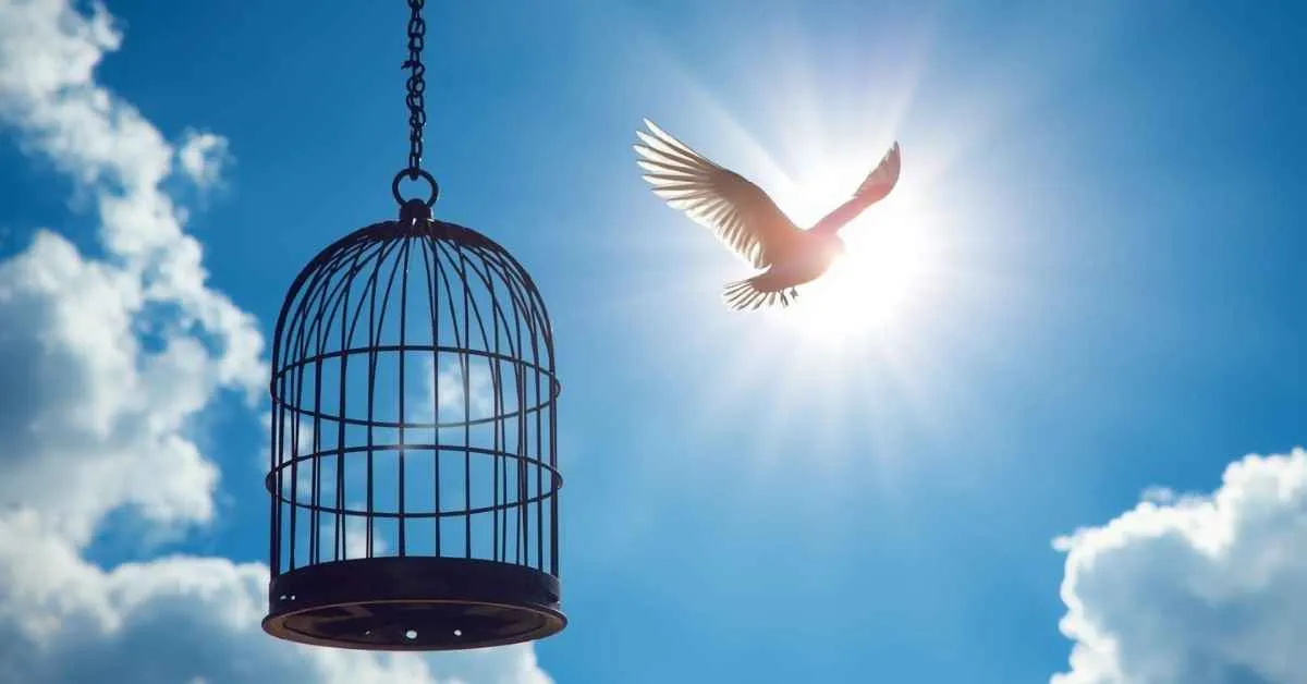 Metaphor for Freedom