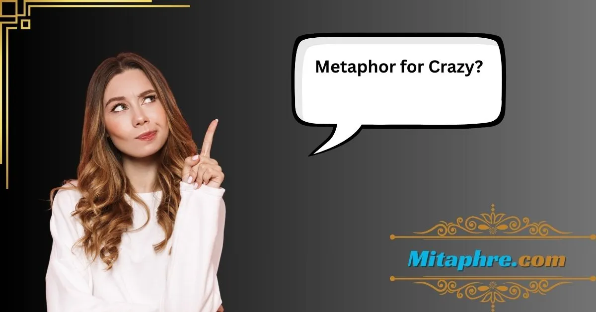 Metaphor for Crazy