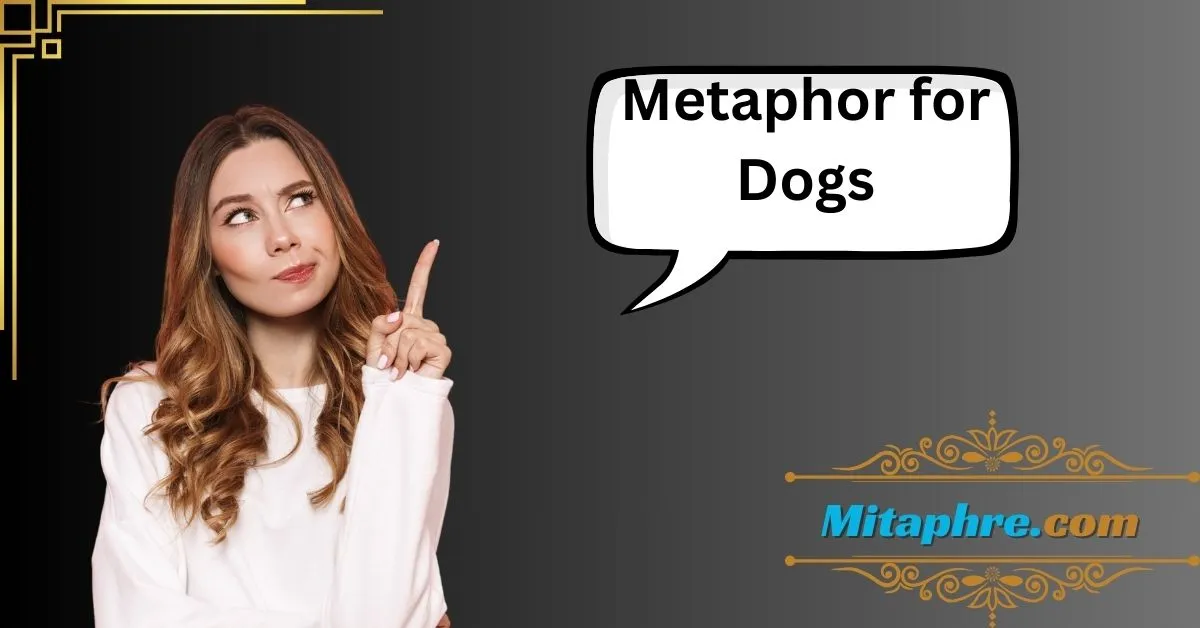 Metaphor for Dogs