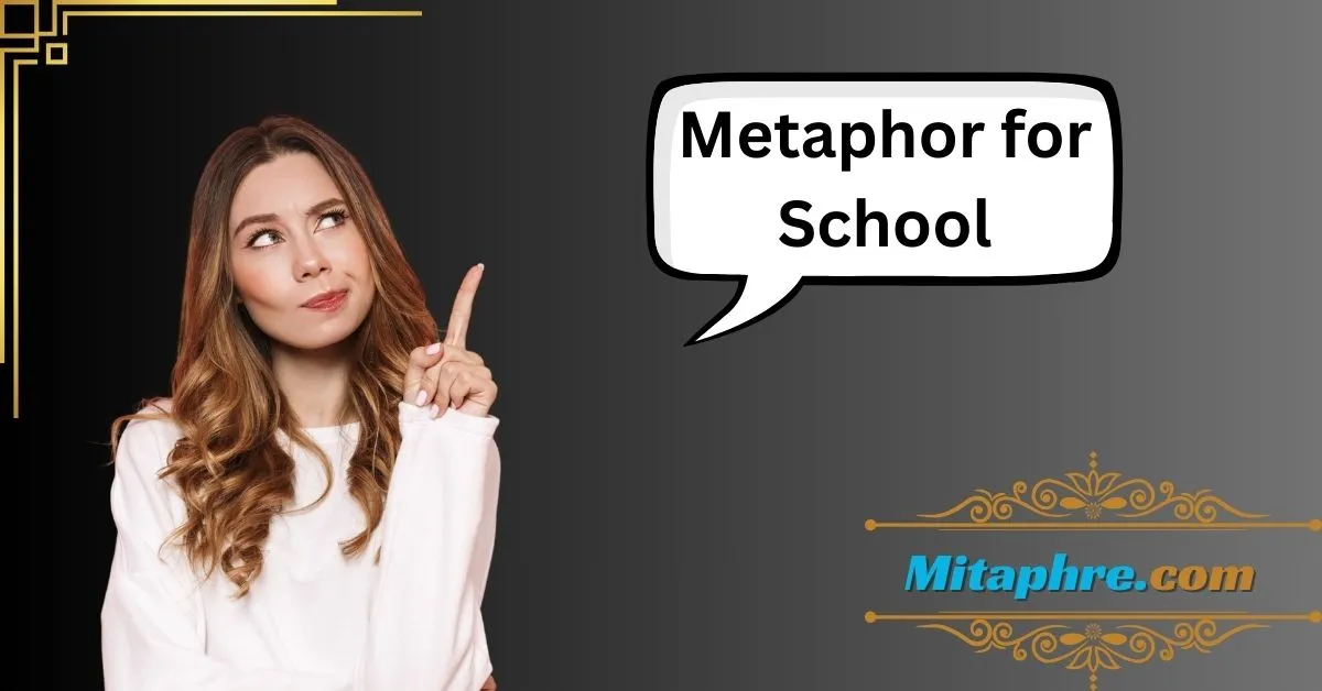 Metaphor for School