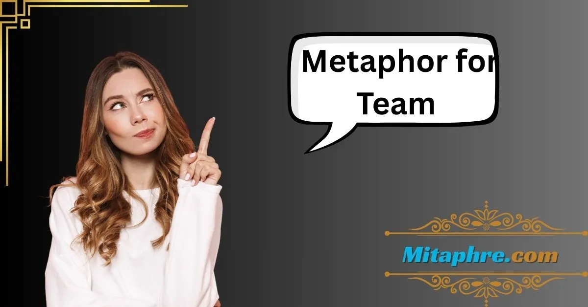 Metaphor for Team