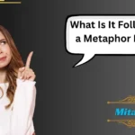 What Is It Follows a Metaphor For