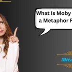 What Is Moby Dick a Metaphor For?